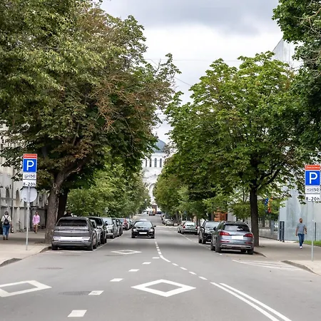 Griunvaldo Apartamentai Διαμέρισμα