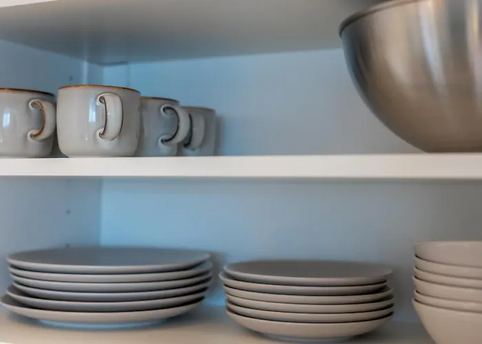 Griunvaldo Apartamentai דירה קובנה